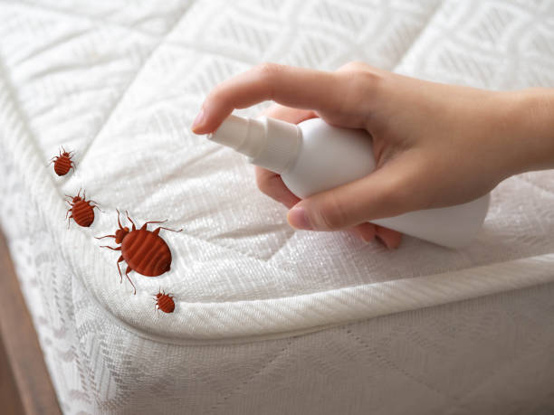 Best Pest Exclusion Services  in Belville, NC